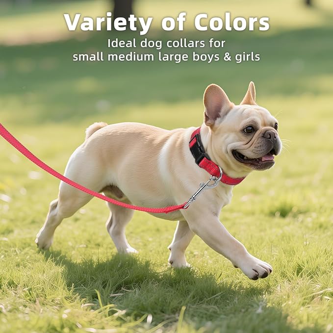 Reflective Dog Collar for Mediunm Dogs, Adjustable Collar with Soft Neoprene Padded, Durable Buckle for Daily Walking,Red,M, 3/4" Width