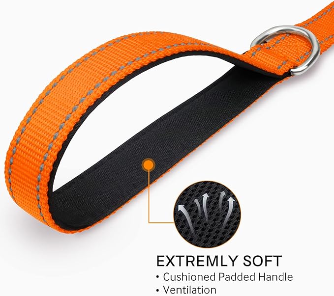 Joytale Dog Leash Heavy Duty for Small Medium Dogs, 6 FT Reflective Nylon Pet Walking Lead with Soft Padded Handle, Durable & Tangle Free for Training, Running & Safety Control, Orange