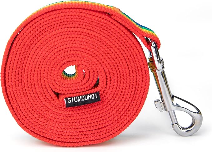 Strong Durable Nylon Dog Training Leash, 1 Inch Wide Traction Rope, 6 ft 10ft 15ft Long, for Small and Medium Dog (Rainbow, 10 Feet)