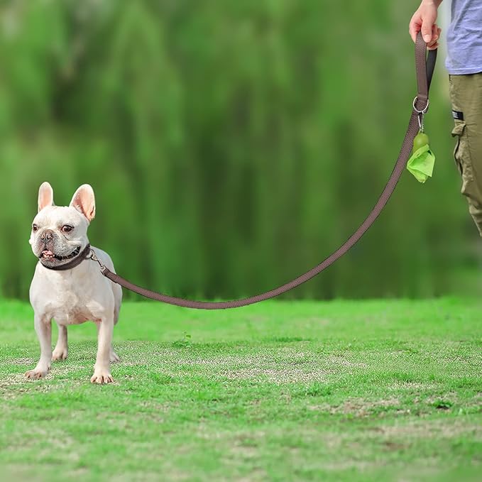 Joytale Double-Sided Reflective Dog Leash, 4 FT, Padded Handle Nylon Heavy Duty Leashes for Small & Medium Dogs Walking, Brown