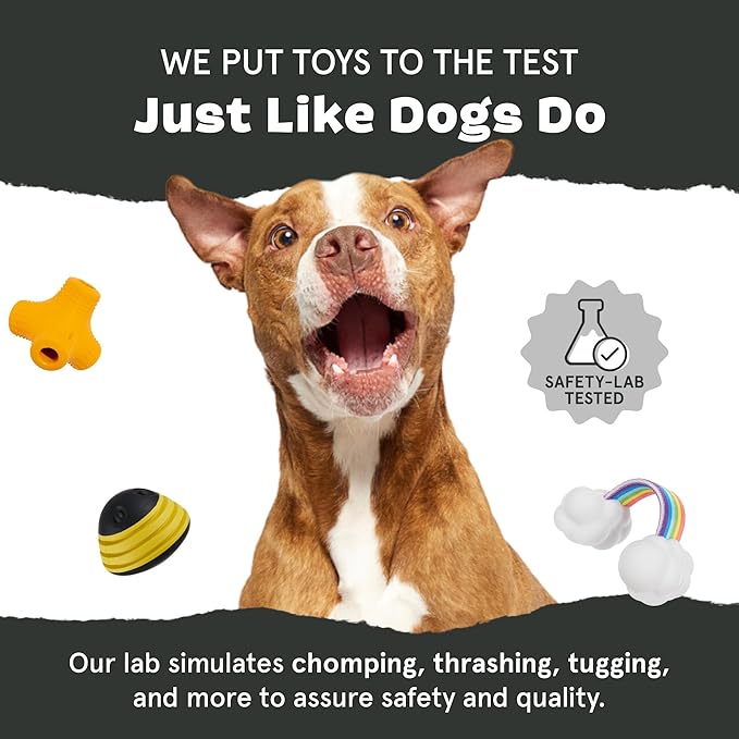Barkbox Get Ripped Margrrrita Super Chewer Tough Dog Chew Toy for Aggressive Chewers, Plush Cover with Rubber Core - 2 Toys in 1 – Two Layer Treat Dispensing Dog Toy for Large Dogs