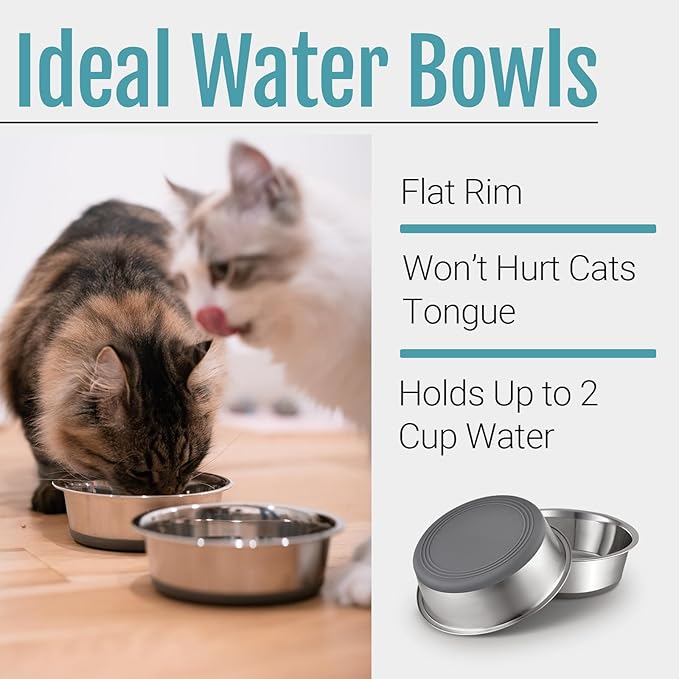 PEGYY11 Nonslip Stainless Steel Dog Cat Bowls, 2 US Cup, 2 Count