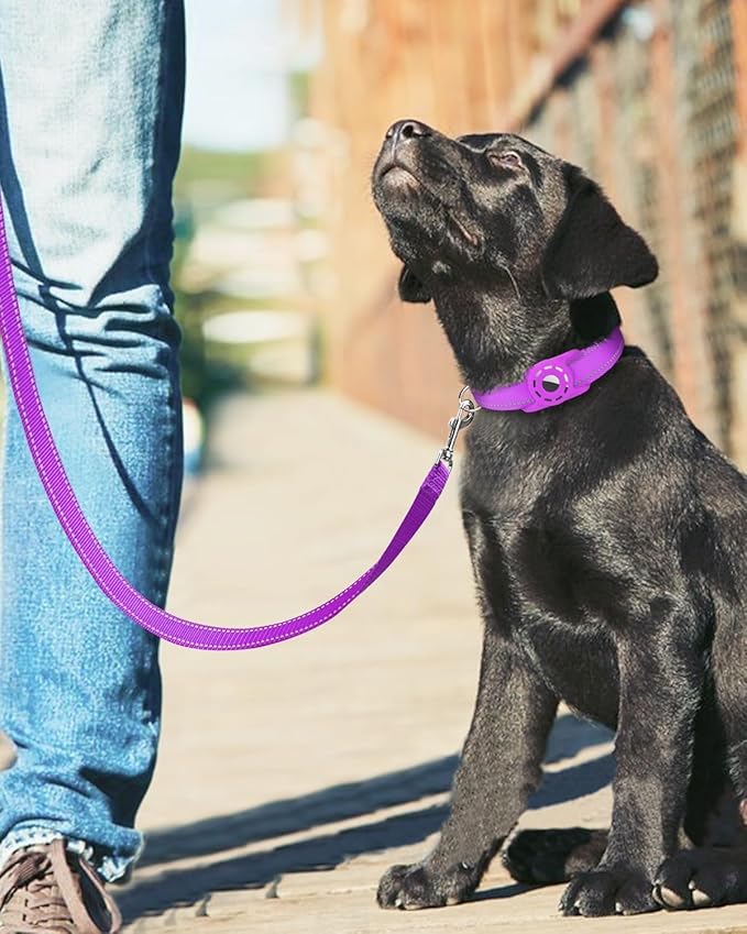 Reflective Dog Leash 4ft Soft Padded Handle Nylon Lead for Small & Medium Dogs, Durable Walking Training Leash for Night Safety (Purple,1Inch Wide)