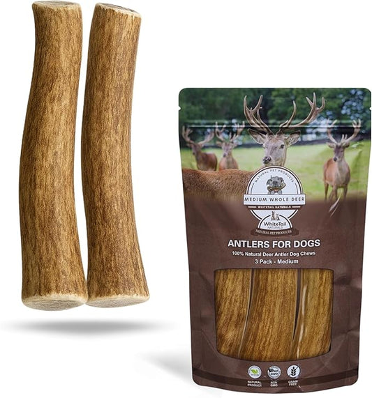 WhiteTail Naturals - Deer Antlers for Dogs - (Medium Whole- 2 Pack) - All Natural Antler Dog Chew - Naturally Shed, Long Lasting Chew Bone, Crafted in Texas
