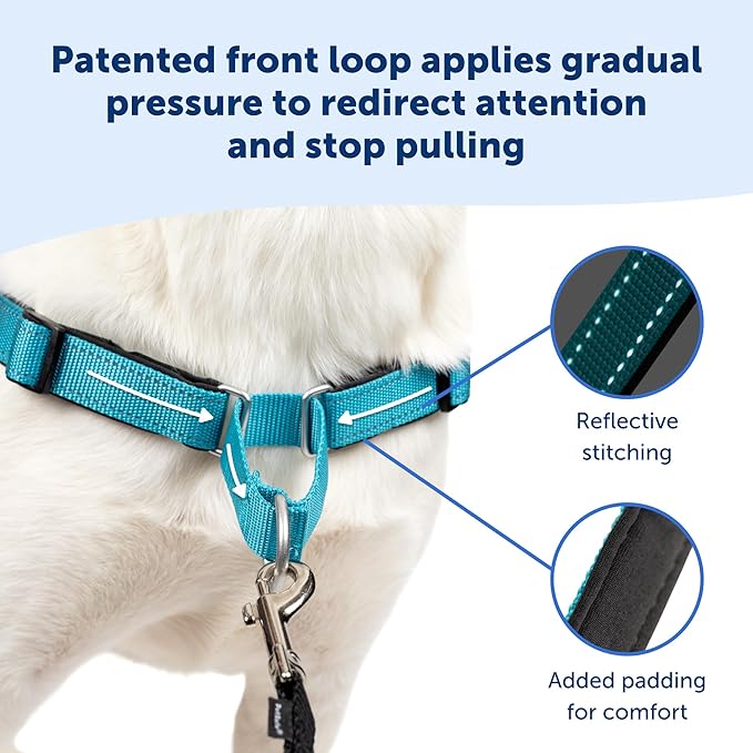 PetSafe Easy Walk Deluxe Dog Harness, No Pull Dog Harness – Perfect for Leash & Harness Training – Stops Pets from Pulling and Choking on Walks – Medium/Large, Steel
