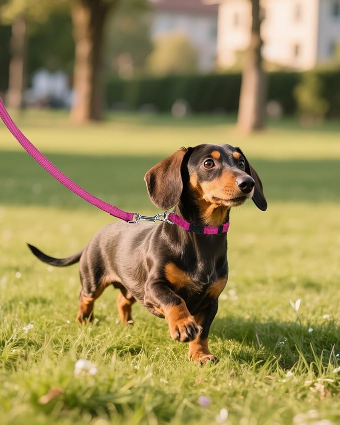 Joytale Small Dog Collar, Reflective and Adjustable Nylon Collar with Quick-Release Buckle, Lightweight No-Choke Design for Puppy and Extra Small Dogs, Hotpink, XS