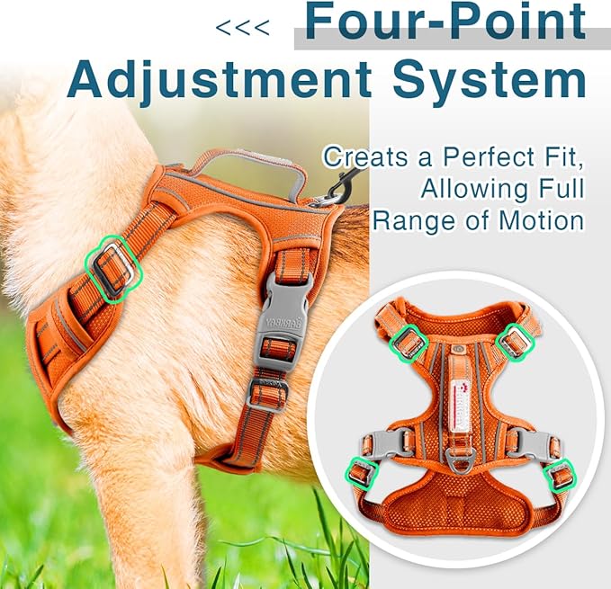 BARKBAY Dog Harness No Pull with ID Tag Pocket - Heavy Duty, Reflective, Easy Control for Large Dogs(Orange,S)
