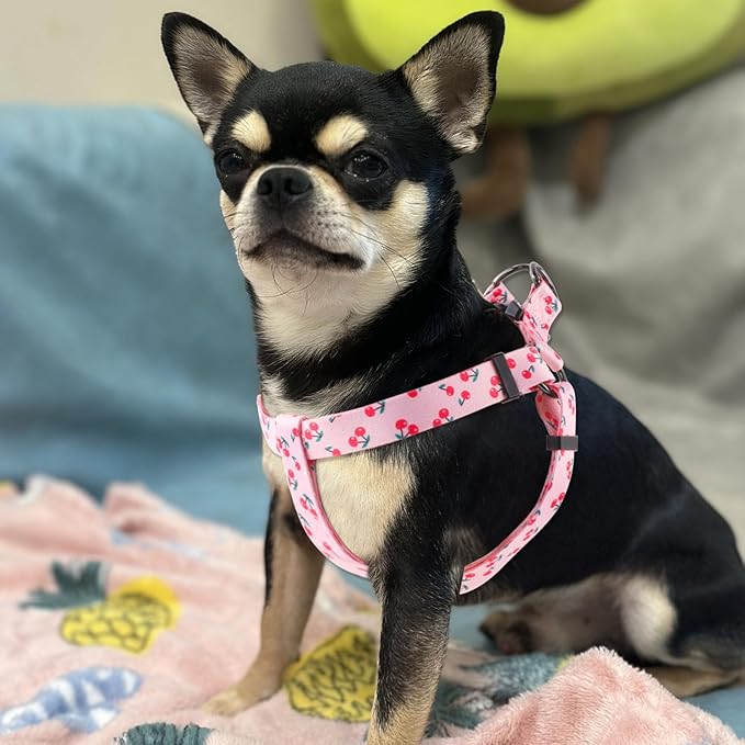 QQPETS Dog Harness Leash Set Adjustable Heavy Duty No Pull Halter Harnesses for Small Medium Large Breed Dogs Back Clip Anti-Twist Perfect for Walking (XS(12"-18" Chest Girth), Sakura Pink)
