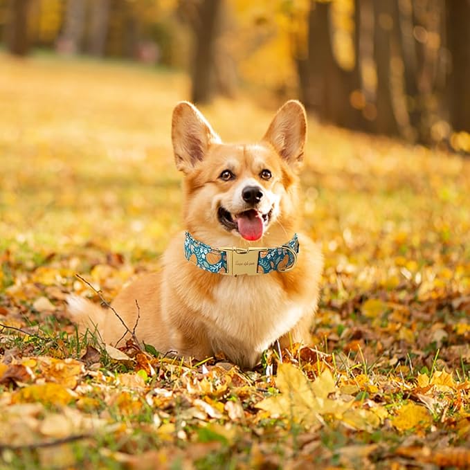 Unique style paws Dog Collar Green Pumpkin Flower Metal Buckle Durable Puppy Collar Halloween for Small Medium Large Boys Girls Dogs