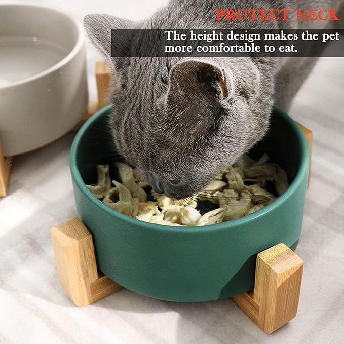 Petygooing Ceramic Dog Cat Bowl Set with Stand,Small Dog Bowls,Food and Water Dishes, Cute Modern Anti Slip Set of 2 Pet Food Dish- Small Size Pet (13.5OZ/5.1 in) Green