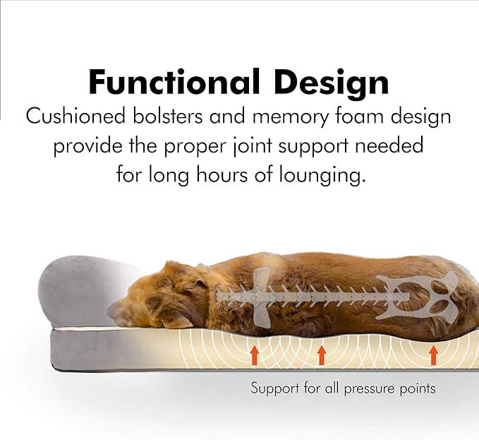 Friends Forever Small Dog Bed, Orthopedic Sofa Memory Foam Mattress, Calming Couch, Wall Rim Pillow, Water Resistant Liner, Washable Cover, Non-Slip Bottom, Chester, Small Khaki Beige