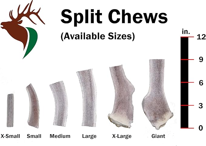 X Small Split 5 Pack (for 0-10 lb Dogs and Puppies) Premium Grade Elk Antlers for Dogs (5 Pieces) Sourced in The USA