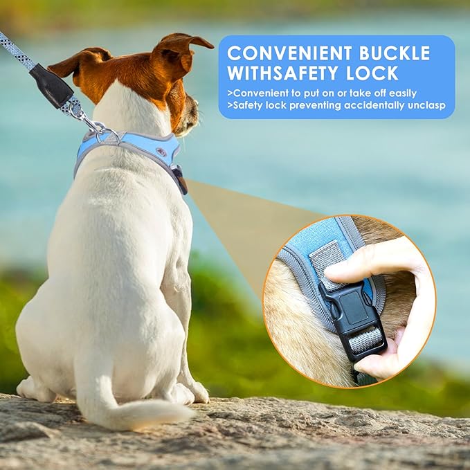 Dog Harness and Leash Set, No Pull Saddle Style Pet Harness, Breathable Mesh Adjustable Reflective Dog Vest for Dogs and Cat Medium Small Harness 2 D-Rings (Blue, L)