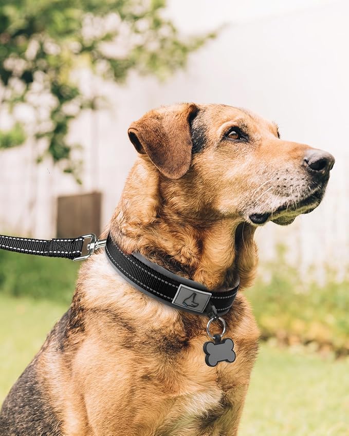 Joytale Dog Collar for Extra Large Dogs, Neoprene Padded and Adjustable, Reflective Wide Heavy Duty Pet Collars with Durable Metal Belt Buckle for Walking, Black, XL