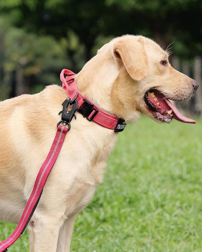 Joytale Tactical Dog Collar with Handle, Adjustable Heavy Duty Military Collar with 2 Patches for Training, Suitable for XLarge Dogs, Hotpink, XL