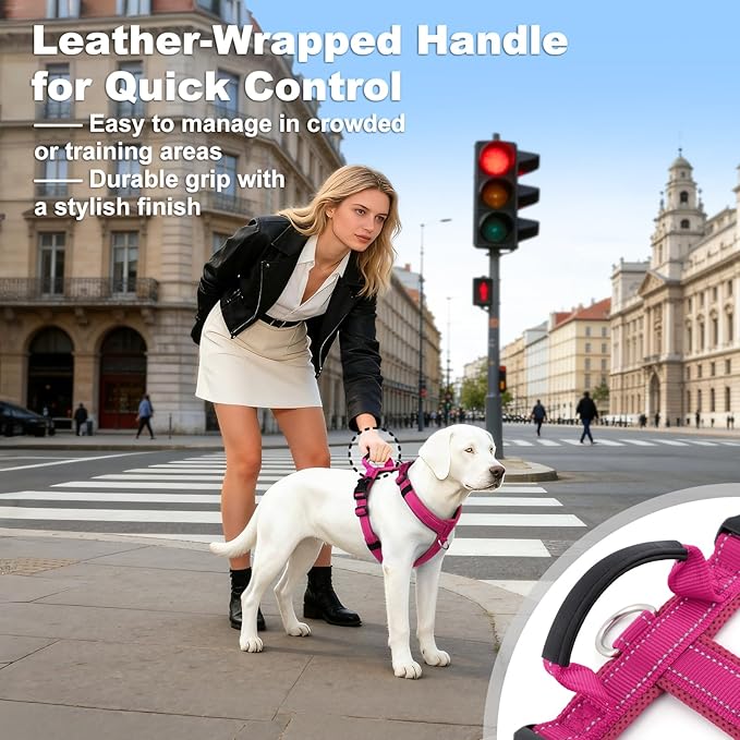 No Pull Dog Harness with Handle, Soft Mesh Padded Adjustable for Small Medium Large Dogs | Reflective Easy Walk Harness with Front Clip for Training, Running & Outdoor (Hot Pink, S)