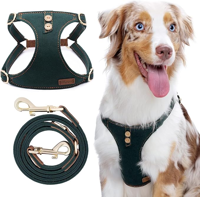 Dog Harness, No Pull Dogs Harness and Multi-Function Leash Set for Medium Dogs Easy Walk Everyday Adjustable Soft Dog Vest Harness Fashionable Dog Accessories Denim Vintage Green-Button-M(17lb-35lb)
