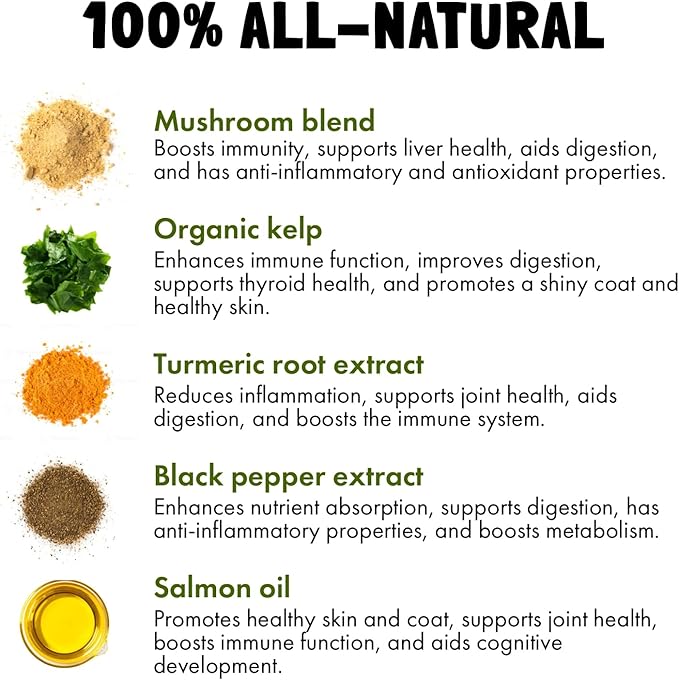 Mushroom Complex Treats for Dogs with Reishi, Shiitake, and Turkey Tail Mushrooms for Cognition and Immune Boosting Supports Digestive Health and Reduces Inflammation DHA EPA Turmeric Kelp 30 Chews