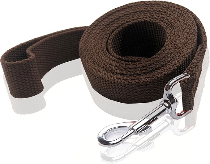 Nylon Dog Leash 16 Feet Long, Walking Training Dog Leashes for Medium Large Dogs(1" X 16 ft, Brown)