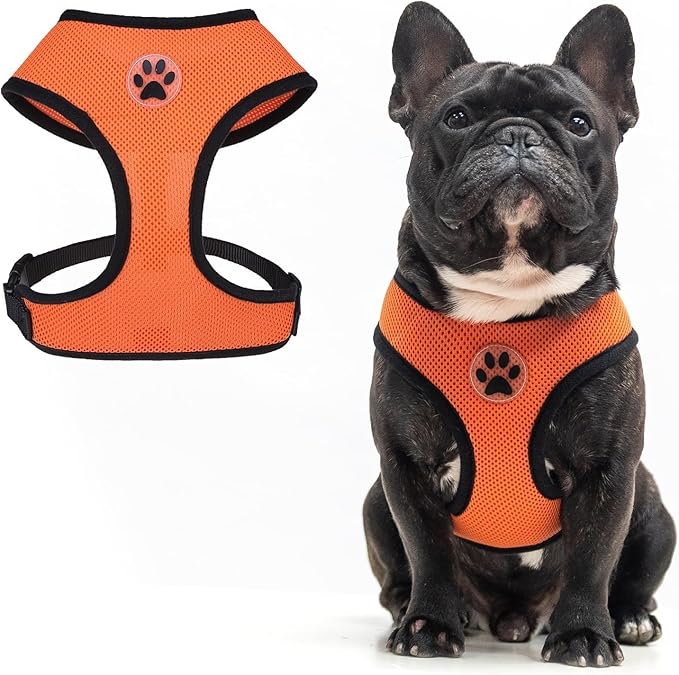 BINGPET No Pull Dog Harness, Soft Mesh Breathable All Weather Vest, Safety Protection Design, Durable Adjustable Step-in Easy Walk Dog Harness for Large Dogs (Orange, L)