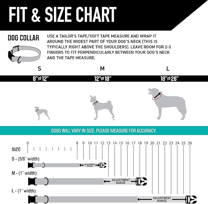 Wolfgang Heavy Duty, Adjustable Dog Collar with Quick Release Nylon Buckle for Walking & Training, LostArt Print, Medium