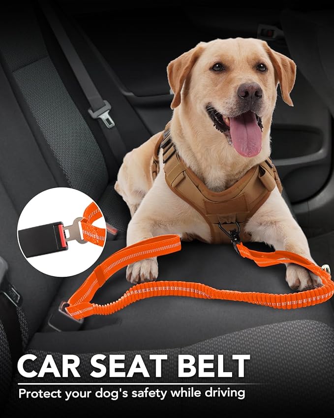 Joytale Tactical Dog Leash Heavy Duty, 4-6FT Shock Absorbing Bungee Lead with 2 Padded Handle, Metal Carabiner Clip, Car Seatbelt, Strong No Pull Leash for Medium Large X-Large Dogs, Orange