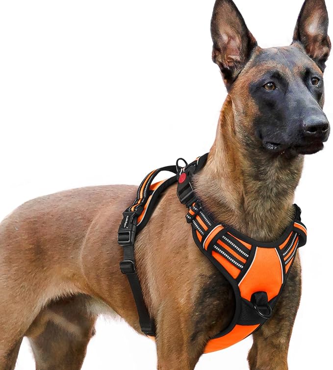 rabbitgoo Dog Harness for Large, No Pull Pet Harness with 3 Buckles, Adjustable Soft Padded Vest with Control Handle, Walking Reflective Pet Vest for Extra Large Dogs, Orange, XL