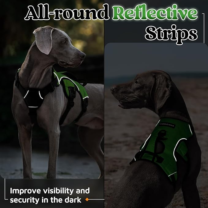 rabbitgoo Escape Proof Dog Harness, Soft Padded Full Body Pet Harness, Reflective Adjustable No Pull Vest with Lift Handle and Lesh Clip for Large Dogs Walking Hiking Training, L, Green