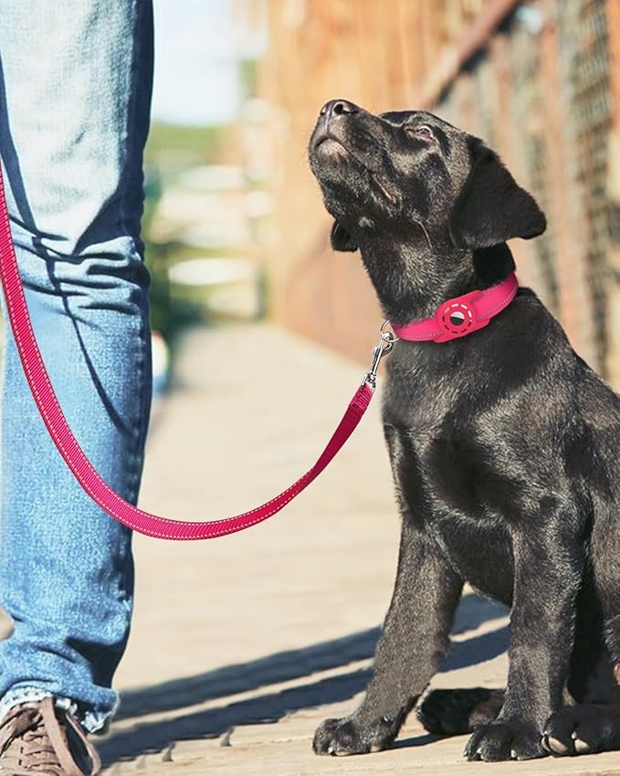 Reflective Dog Leash 6ft Soft Padded Handle Nylon Lead for Small & Medium Dogs, Durable Walking Training Leash for Night Safety (Hotpink,3/4Inch Wide)