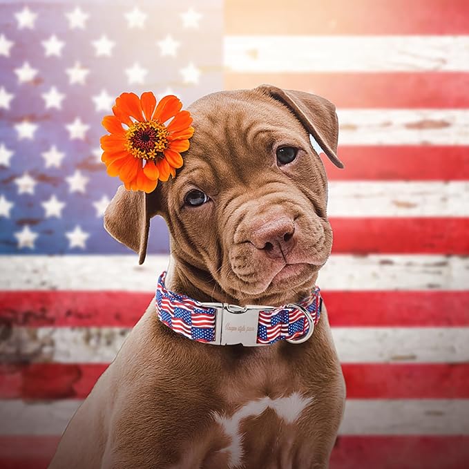 Unique style paws Independence Day Dog Collar Metal Buckle Wave Flag Collar Gift Durable Cute Collar for Small Medium Large Boys Girls Dogs