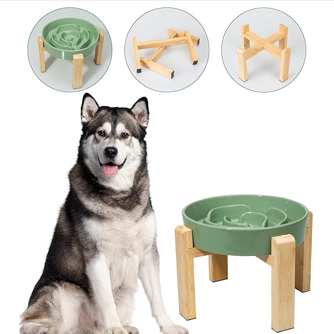 Elevated Slow Feeder Dog Bowl - Puzzle Maze Dish with Bamboo Stand - Raised Ceramic Food Bowl for Medium and Large Dogs - Green - 8.8 inch