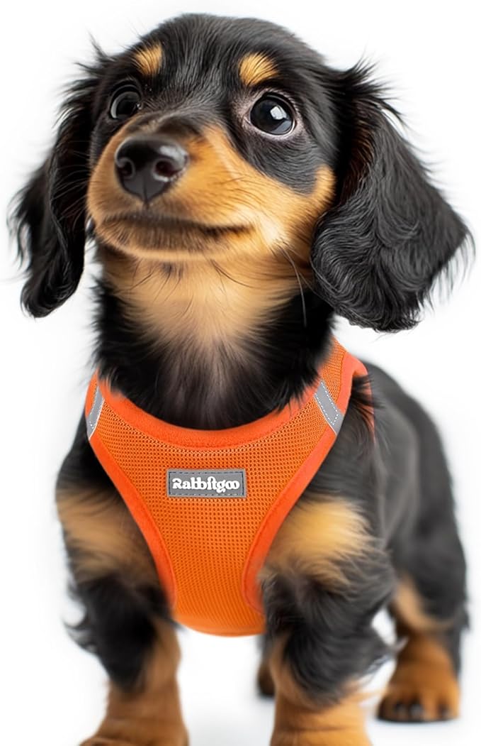 rabbitgoo Small Dog Harness, Step-in Soft Mesh Puppy Vest with Safety Buckle, Breathable Reflective Pet Harness for Extra Small Dogs, Orange XXS