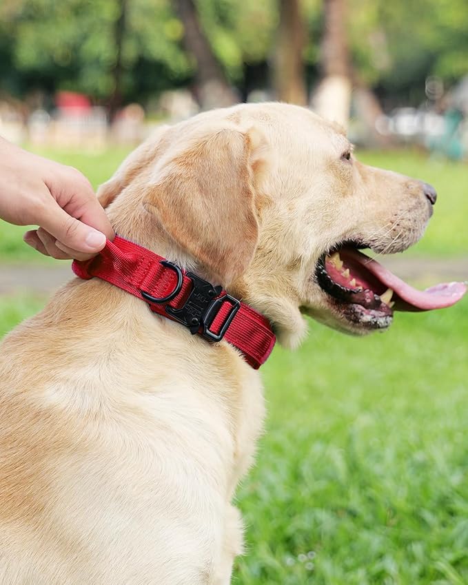 Joytale Tactical Dog Collar with Handle, Adjustable Heavy Duty Military Collar with 2 Patches for Training, Suitable for Large Dogs, Red, L