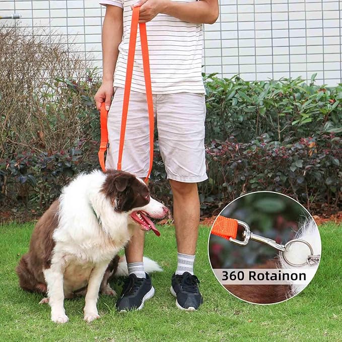 AMAGOOD 6 FT Puppy/Dog Leashes, Traditional Style Leash with Easy to Use Collar Hook, Great for Small, Medium and Large Dogs (1 in x 6 ft, Orange)