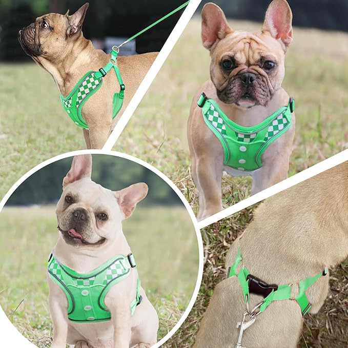 Dog Harness with Leash Set, Adjustable Step in with Breathable Padded Vest Harness for Medium Large Dogs Training and Running (M Green)