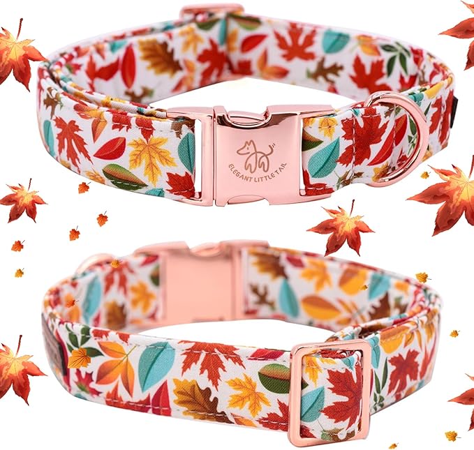 Elegant little tail Fall Dog Collar, Autumn Leaves Pet Collar Durable Dog Collars Male or Female Holiday Pet Gift Adjustable Dog Collar for X-Small Dogs