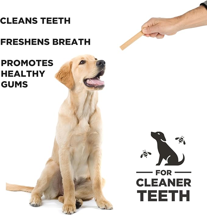 PROJECT HIVE ·PET COMPANY· Dental Chew Stick Treats for Large Dogs 12 oz. - Healthy, Natural Peanut Butter Flavored, Natural, Vegetarian Chews, Made in The USA (Chew Sticks, Large Breeds)