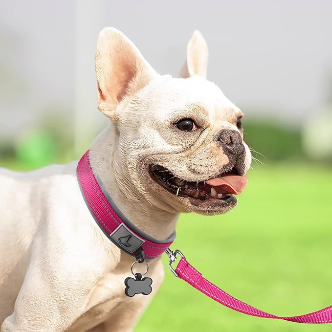 Joytale Dog Collar for Small Dogs, Neoprene Padded and Adjustable, Reflective Wide Heavy Duty Pet Collars with Durable Metal Belt Buckle for Walking, Hotpink, S