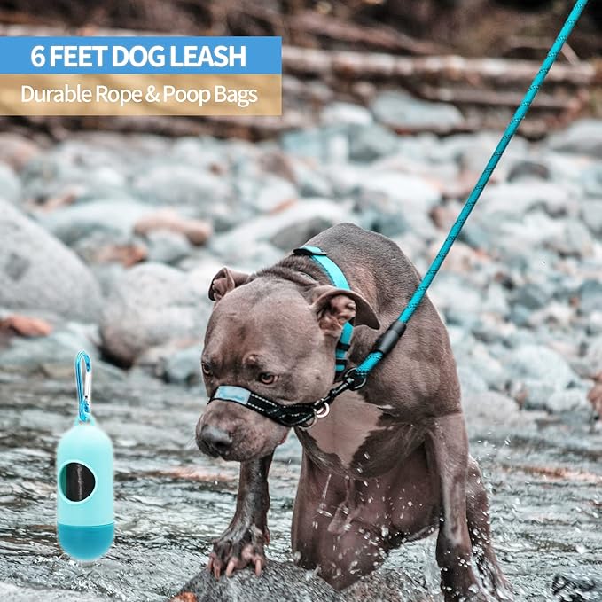 BAAPET 2/4/5/6 FT Dog Leash with Comfortable Padded Handle and Highly Reflective Threads for Small Medium and Large Dogs (6FT-1/2'', Blue)