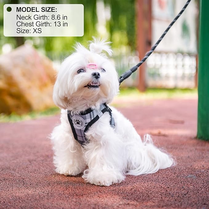 BEAUTYZOO Small Dog Harness and Leash Set,Step in No Choke No Pull Soft Mesh Dog Harnesses Reflective for Extra-Small Medium Puppy Dogs and Cats, Plaid Dog Vest Harness for XS S Pets, Grey XXS