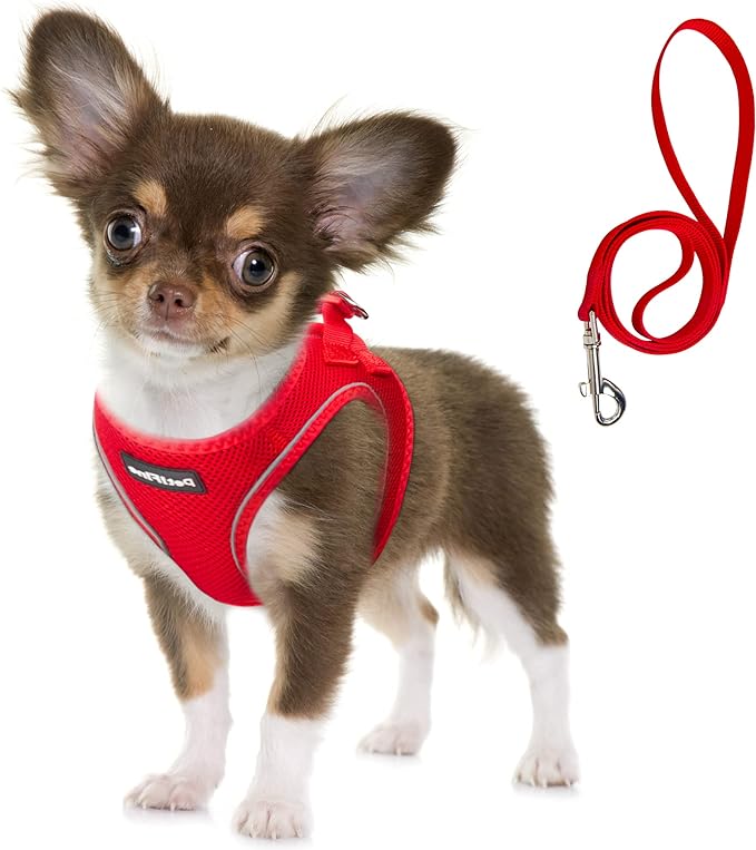 Fida Comfy Dog Harness with Leash, Soft Puppy Vest Escape Proof, Breathable Lightweight Soft Mesh, Adjustable Reflective Step-in Harness for Cat & Extra-Small Pet (XS, Red)