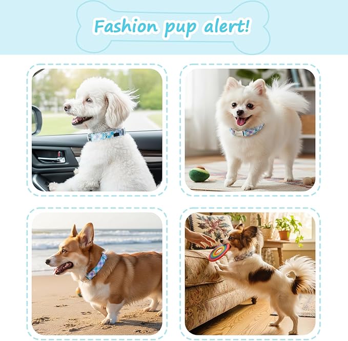 Cotton Collar for Dog竊똕oft Adjustable Dog Collars for Medium Dogs, Cute Dog Collar with Blue & White Plaid for Small Medium Large Dogs, Perfect for Girl or Boy Dog Collars-M