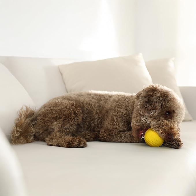 Playology Dog Toys | Dual Layer Ball Durable Chew Toy for Aggressive Chewers | Medium Chicken Scented Toy - Easy to Clean and Made from Non Toxic Materials