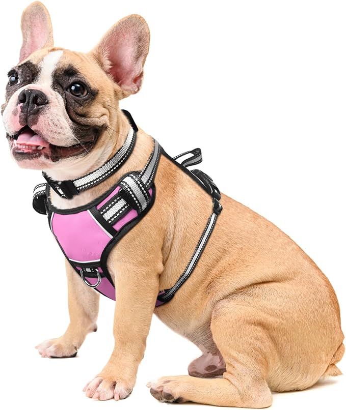 WINSEE Dog Harness No Pull, Pet Harnesses with Dog Collar, Adjustable Reflective Oxford Outdoor Vest, Front/Back Leash Clips for Small, Medium, Large, Extra Large Dogs, Easy Control Handle for Walking