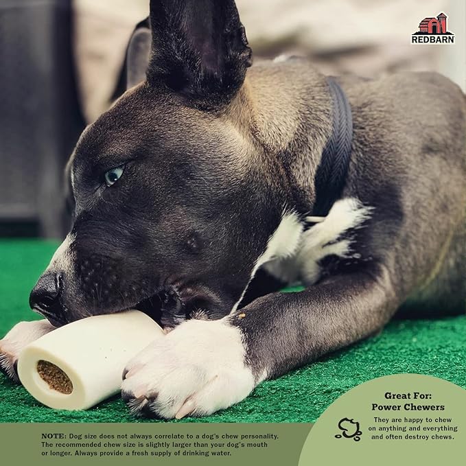 Redbarn Pet Products Small Filled Dog Bones, Peanut Butter Flavor - Long Lasting Stuffed Femur Chew Treat Made in USA - 4 Count - Packaging May Vary