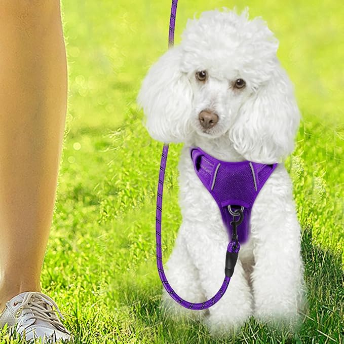 BARKBAY Dog Harness No Pull with ID Tag Pocket - Heavy Duty, Reflective, Easy Control for Large Dogs(Purple,XS)