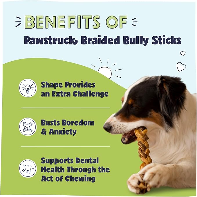 Pawstruck Natural 7” Braided Bully Sticks for Dogs, Tough Long-Lasting, Rawhide-Free, Low Odor, Healthy Single Ingredient Chew Treat for Aggressive Chewers, 25 Count, Packaging May Vary