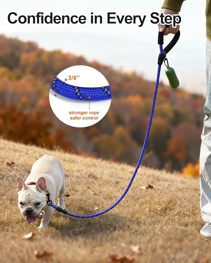 Joytale Dog Leash for Small Dogs, Heavy Duty Nylon Leashes with Comfortable Padded Handle and Highly Reflective Threads, Ideal for Walking and Training, Navyblue, 5'횞3/8''