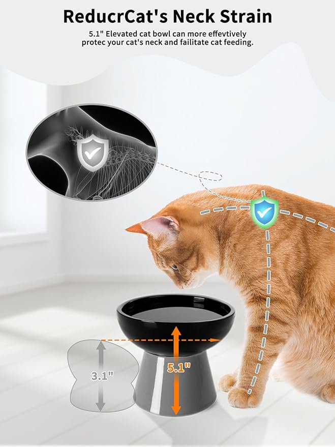 LoeJan Elevated Cat Food and Water Bowls Set, Extra Wide and Raised Ceramic Feeder, Anti-Vomit Whisker-Free Pressure Feeding Bowl for Kittens Adult Small Dogs (Black)