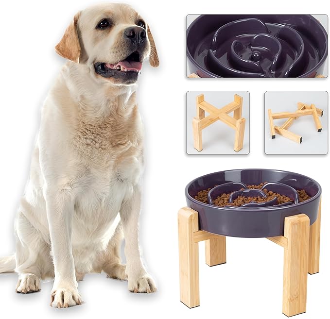 Elevated Slow Feeder Dog Bowl - Puzzle Maze Dish with Bamboo Stand - Raised Ceramic Food Bowl for Medium and Large Dogs - 8.8 Inch - Purple